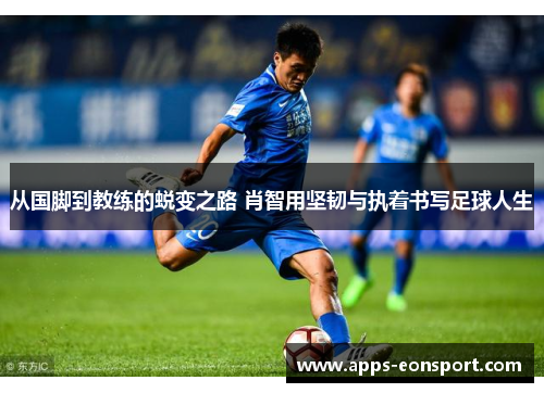 从国脚到教练的蜕变之路 肖智用坚韧与执着书写足球人生
