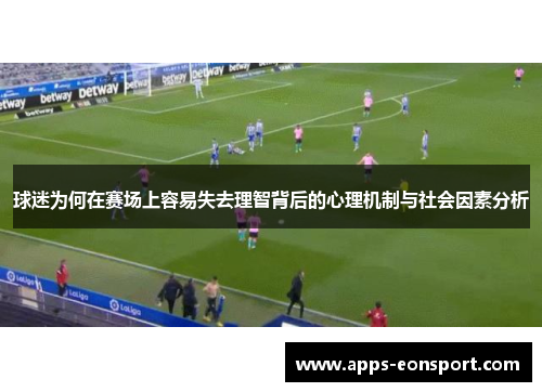 球迷为何在赛场上容易失去理智背后的心理机制与社会因素分析