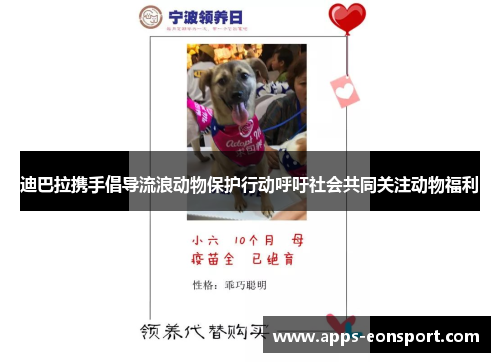 迪巴拉携手倡导流浪动物保护行动呼吁社会共同关注动物福利
