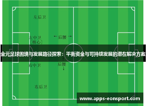 金元足球困境与发展路径探索：平衡资金与可持续发展的潜在解决方案