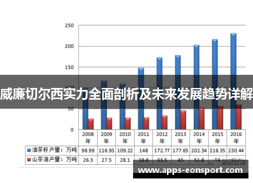 威廉切尔西实力全面剖析及未来发展趋势详解